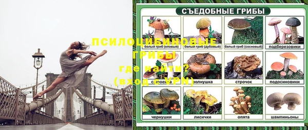 не бодяженный Белокуриха